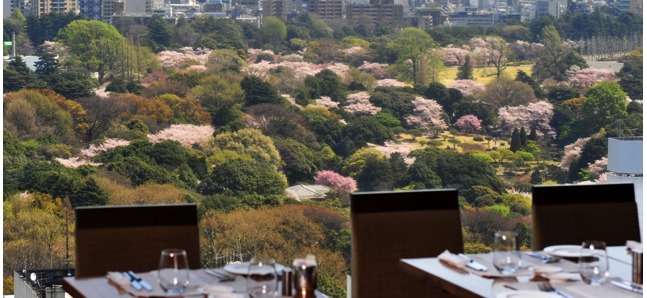 Gorgeous hanami hotel lunches