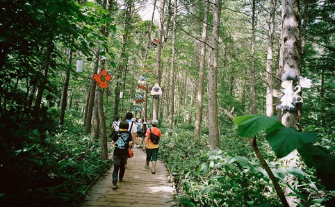 Get the most out of Fuji Rock