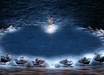 白鳥の湖／The Australian Ballet  Swan Lake Photo Jeff Busby