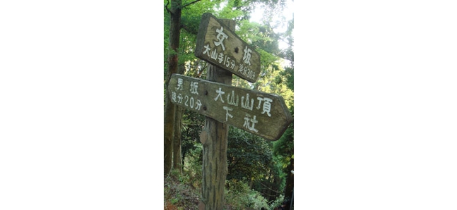 Tokyo's best mountain hikes: Mt Oyama