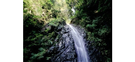 Tokyo's best mountain hikes: Mt Nabewari
