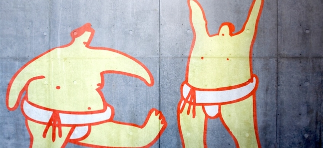 Sumo rules: What you need to know