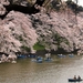 Chidorigafuchi Boathouse