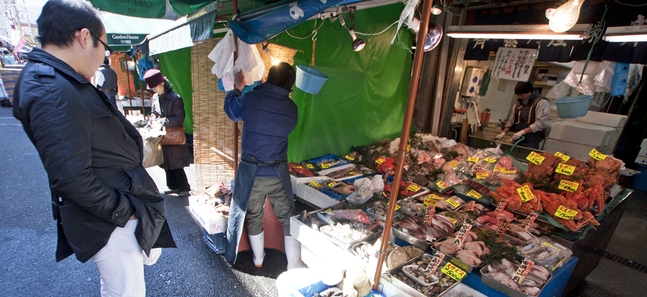 Photo gallery: Tsukiji Market, one week on (8)