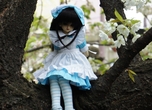 Girl Stuck in a Tree [Tue Apr 26 2011]