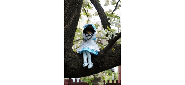 フォト・オブ・ザ・デイ：木の上で身動きの取れない女の子