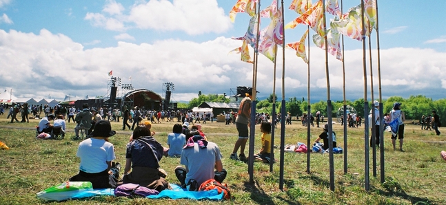 Summer Music Festivals Guide