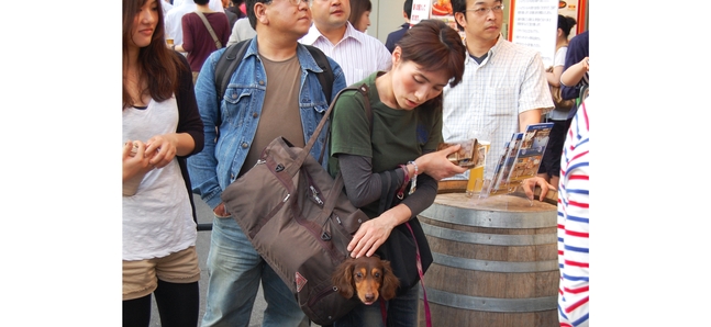 Photo of the day: Dog in a bag