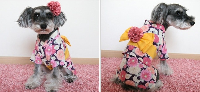 Shopping for your dog, Japan style: Yukata