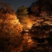 Rikugien Autumn Light Up