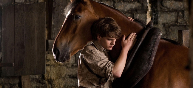 War Horse