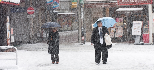 Photo gallery: Snow in Tokyo