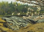 'The Tsunami and the Cherry Blossom', at the FCCJ on March 10. © 2011 Lucy Walker