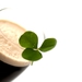 St. Patrick’s Day: where to drink