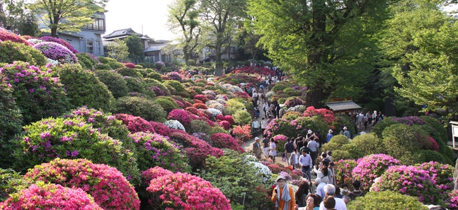 週末するべき25のこと