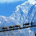 エベレスト登頂60周年記念 大ネパール展