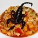 Scorpion pasta