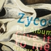 Zycos album release party