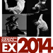 横浜ダンスコレクションEX 2014