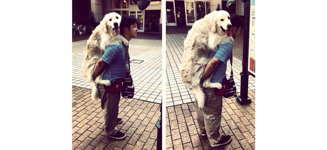 Photo of the day: There's a dog on your back
