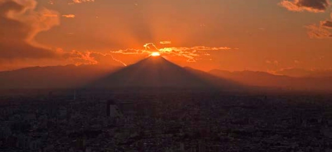 Things to do this week in Tokyo