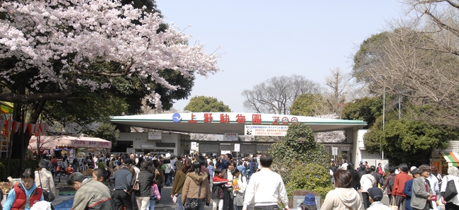 Things to do this week in Tokyo