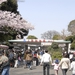 上野動物園 開園記念日 入園料無料デー