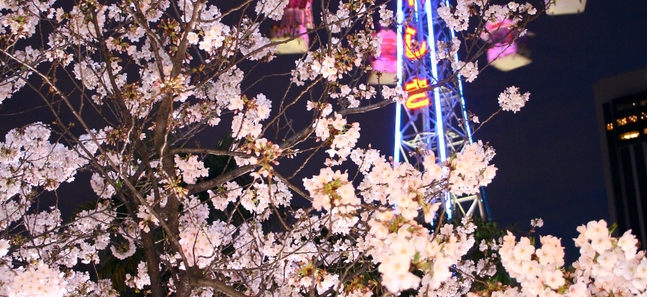 Things to do this week in Tokyo