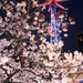 浅草花やしき 夜桜ビアガーデン
