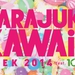 HARAJUKU KAWAii!! WEEK 2014
