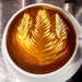 Streamer Coffee Company Gohongi