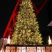 Tokyo Tower Christmas Illumination 2014