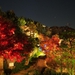 秋の庭園ライトアップ 2014