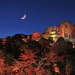 Hotel Chinzanso Tokyo Autumn Garden Lightup 
