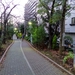 Ojima Ryokudo Park/Kameido Ryokudo Park