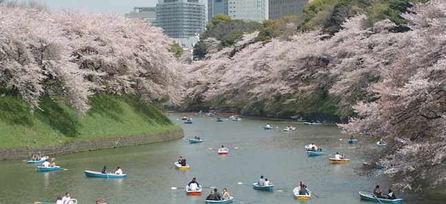 週末しかできない25のこと