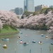 Chiyoda Sakura Matsuri