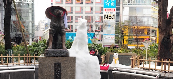 今日しかできないこと：4月8日（水）