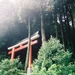 Go on a torii gate tour