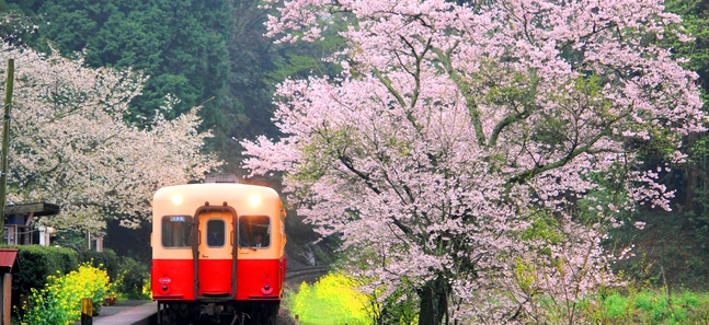 See more on a local train